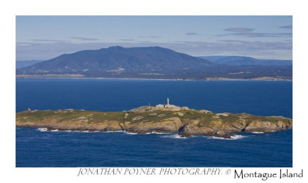 Montague Island, #4